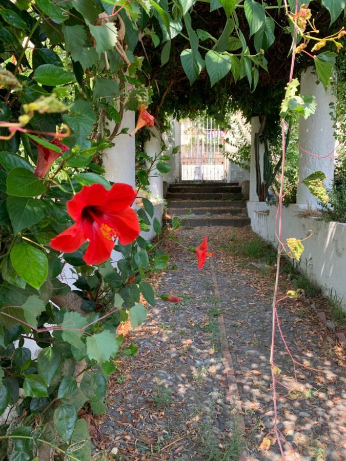 Casa Diana Arianna Apartment Липари Екстериор снимка