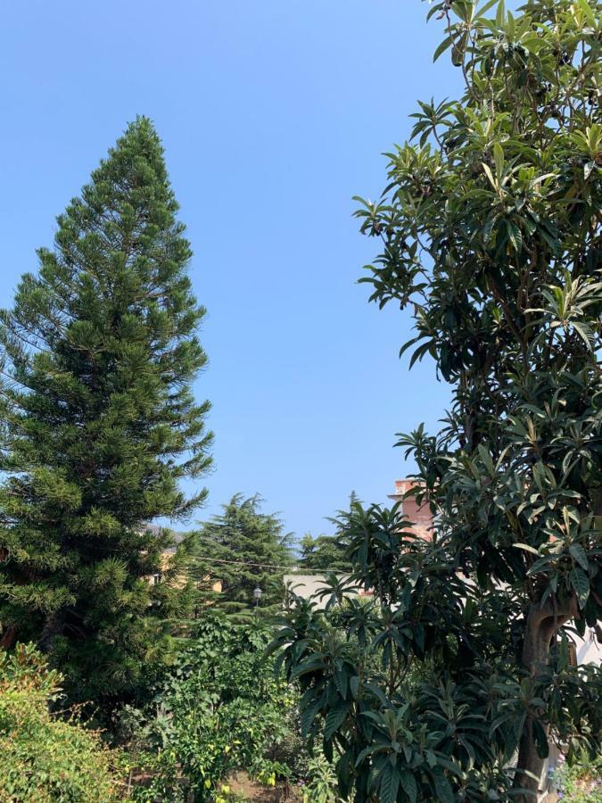 Casa Diana Arianna Apartment Липари Екстериор снимка